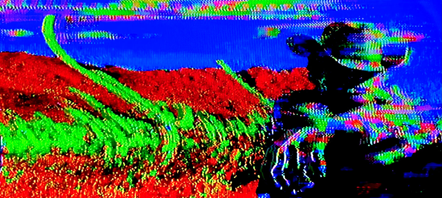 Acid Western